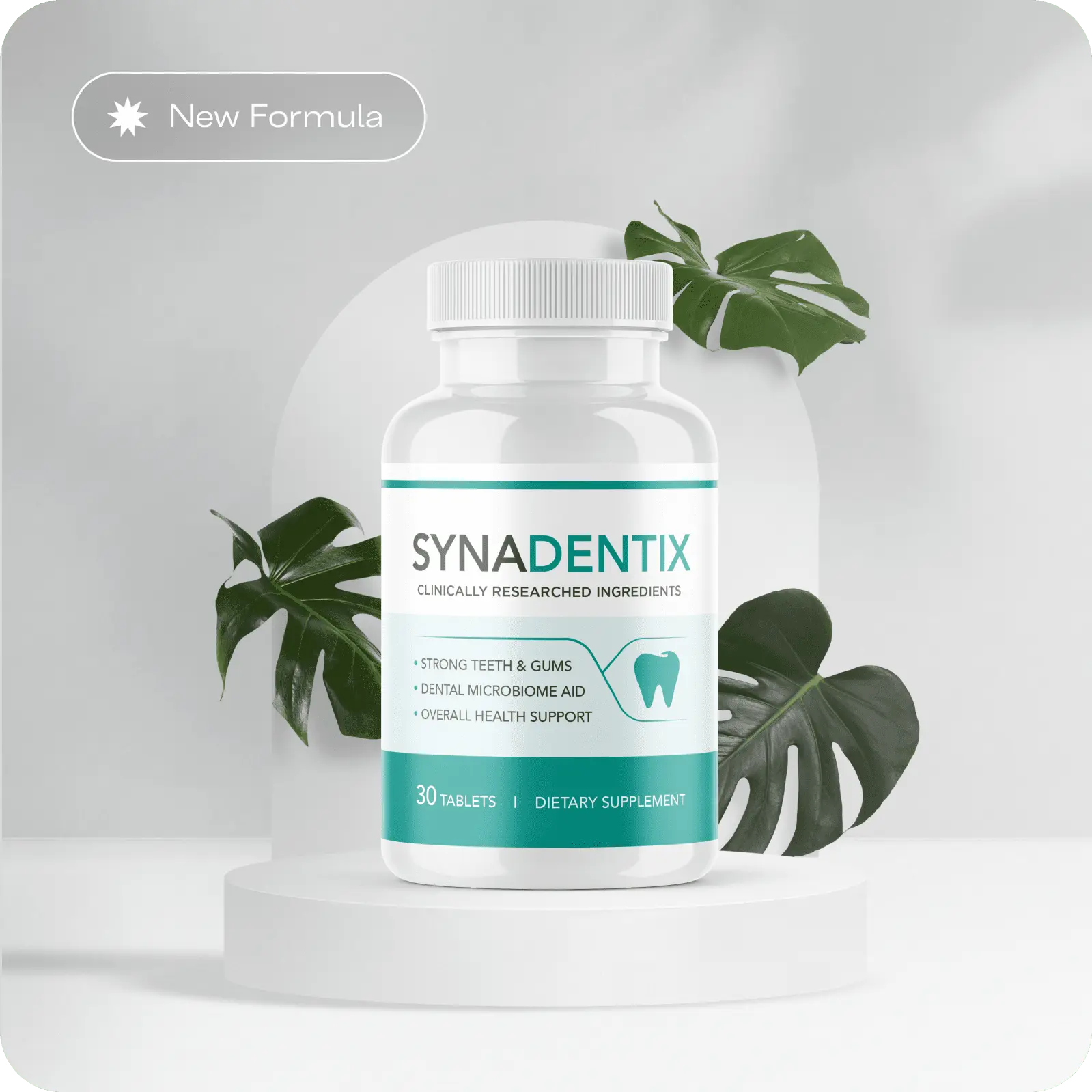 SynaDentix Supplement